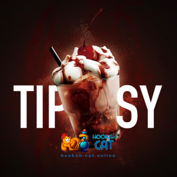 Заказать кальянный табак Must Have Tipsy (Маст Хэв Типси) 25г онлайн с доставкой всей России
